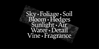 Artifex CF Font
