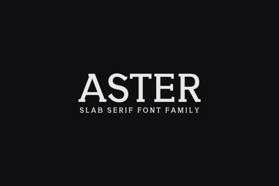 Aster Slab Serif 9 Font Family Pack Free Download