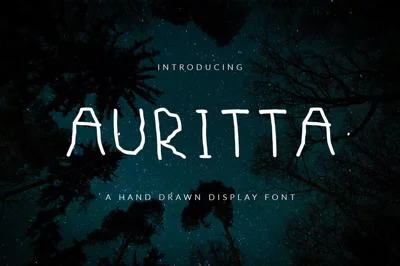 Auritta Font Display Sans