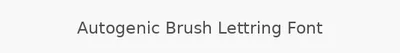 Autogenic Brush Lettring Font