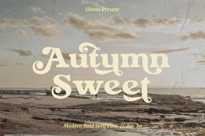 Autumn Sweet | Modern Bold Serif Font