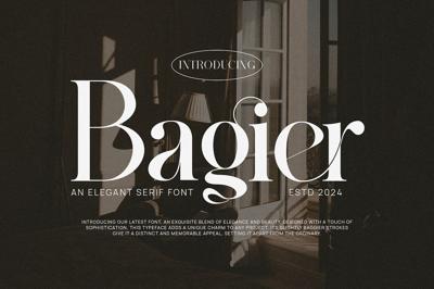 Bagier Elegant Ligature Serif Free Download