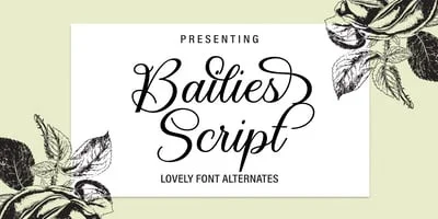 Bailies Script