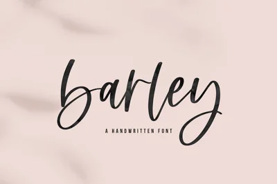 Barley | Handwritten Script Font