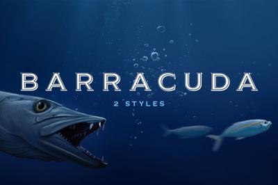 Barracuda Display - Logo Font Free Download