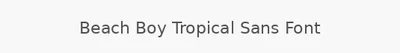 Beach Boy Tropical Sans Font