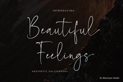 Beautiful Feelings - Aesthetic Fonts Free Download