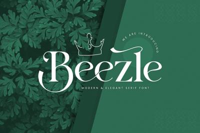 Beezle Modern Serif Font Free Download