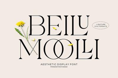 Beilu Moolli Beautiful Modern Fonts Free Download