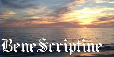 BeneScriptine