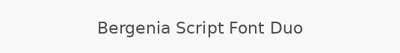 Bergenia Script Font Duo