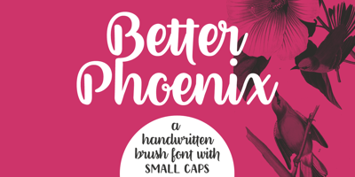 Better Phoenix Free Download