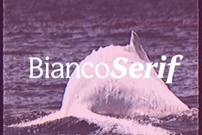 Bianco Serif Font