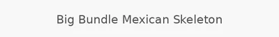 Big Bundle Mexican Skeleton