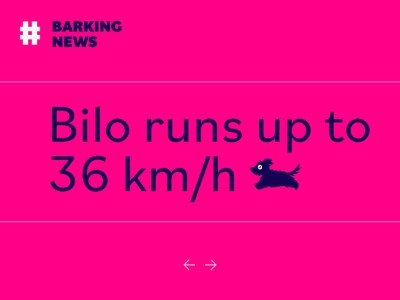 Bilo Font