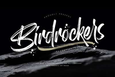 Birdrockers || Realistic Brush Font