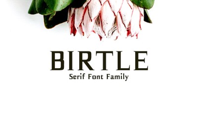 Birtle Serif 3 Font Family Pack