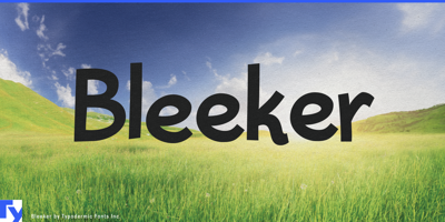 Bleeker Free Download