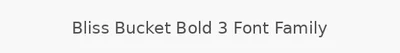 Bliss Bucket Bold 3 Font Family