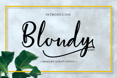 Blondy Script Font