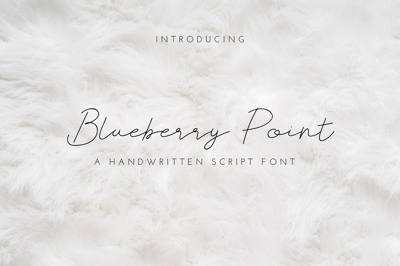 Blueberry Point Free Download