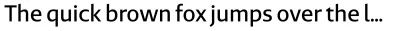 Bluteau Sans Font