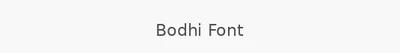 Bodhi Font
