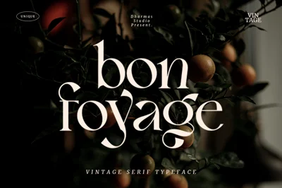 Bon Foyage - Vintage Modern Serif Font