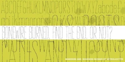 Bonewire Font Family Free Download