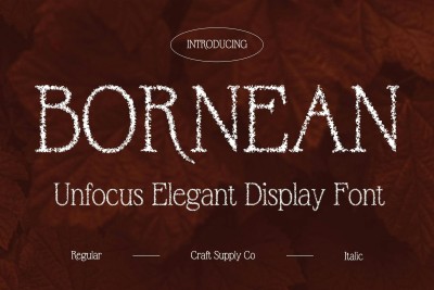 Bornean Unfocus Font