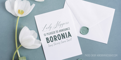 Boronia Free Download