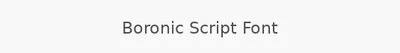 Boronic Script Font
