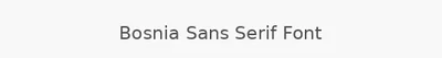 Bosnia Sans Serif Font