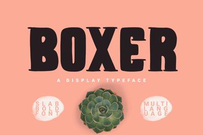 Boxer Typeface Free Download