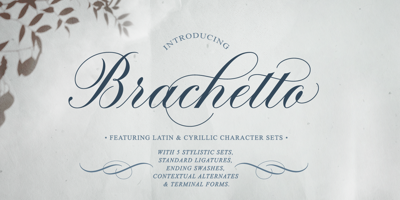 Brachetto Free Download