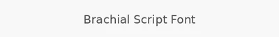 Brachial Script Font