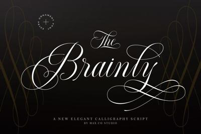 Brainly Script Extra Ornament Free Download