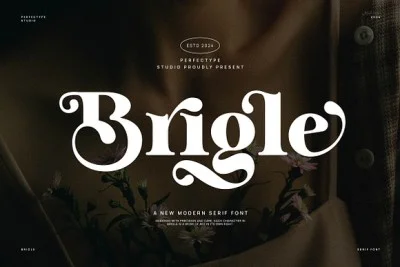 Brigle Serif Font