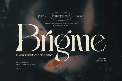Brigme Elegant Serif Font Typeface