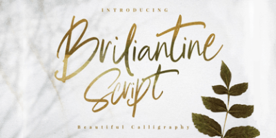 Brilliant Beautiful Script Font