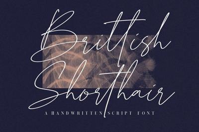 Brittish Shorthair Script Free Download