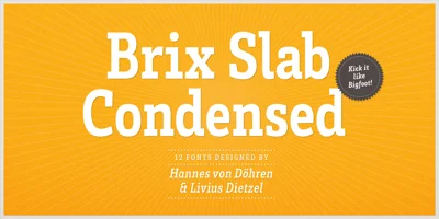 Brix Slab Font