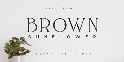 Brown Sunflower Free Download