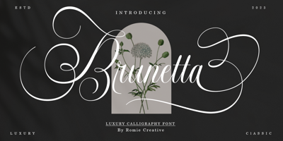 Brunetta Calligraphy Free Download