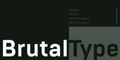 Brutal Type Font