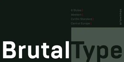 Brutal Type Font