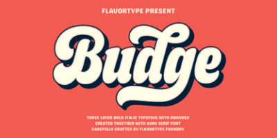 Budge Font