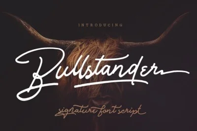 Bullstander Font
