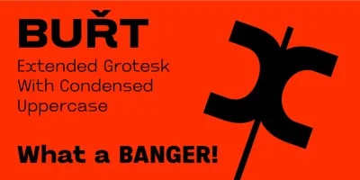 Burt Font