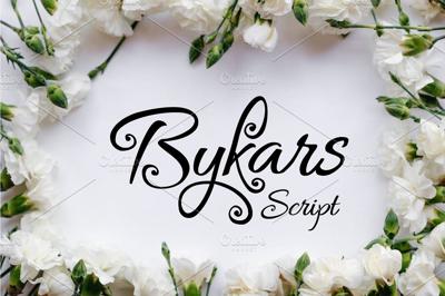 Bykars Free Download